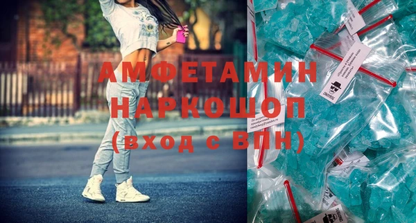 прущие грибы Приозерск