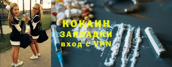 прущие грибы Приозерск