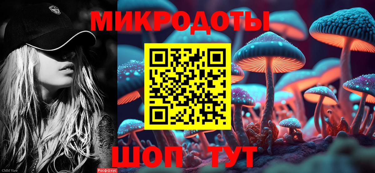 Псилоцибиновые грибы Magic Shrooms Алатырь