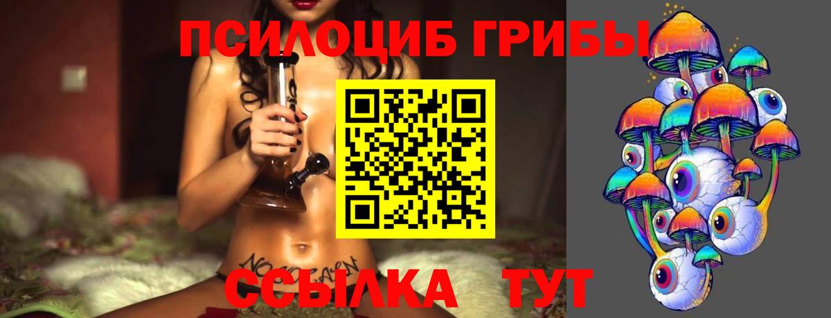Псилоцибиновые грибы Psilocybe  Вход с VPN  Галлюциногенные грибы мицелий  Алатырь 